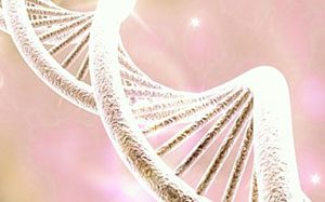 Theta Healing® Basic DNA